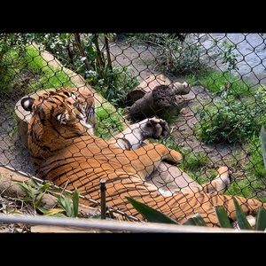 Meet your Posher, Joseph